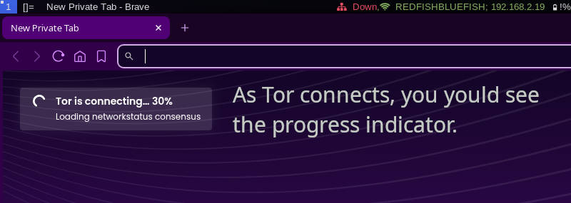 Starting a Brave Browser private window with Tor