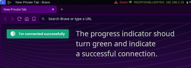 When the Tor connection progress box turns green, the connection
    is made. Now your data and anonymity is protected.